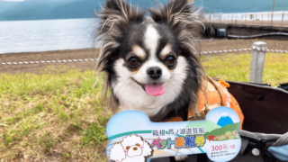 【犬同伴OK】箱根・芦ノ湖周辺1泊2日モデルコース