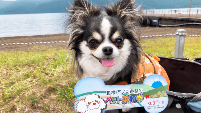 【犬同伴OK】箱根・芦ノ湖周辺1泊2日モデルコース