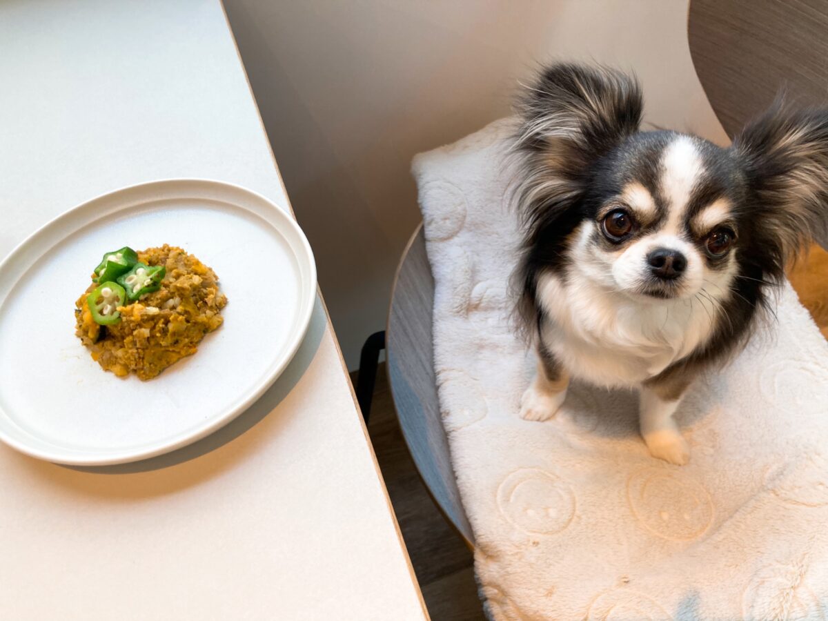 マンダリンブラザーズ カフェ