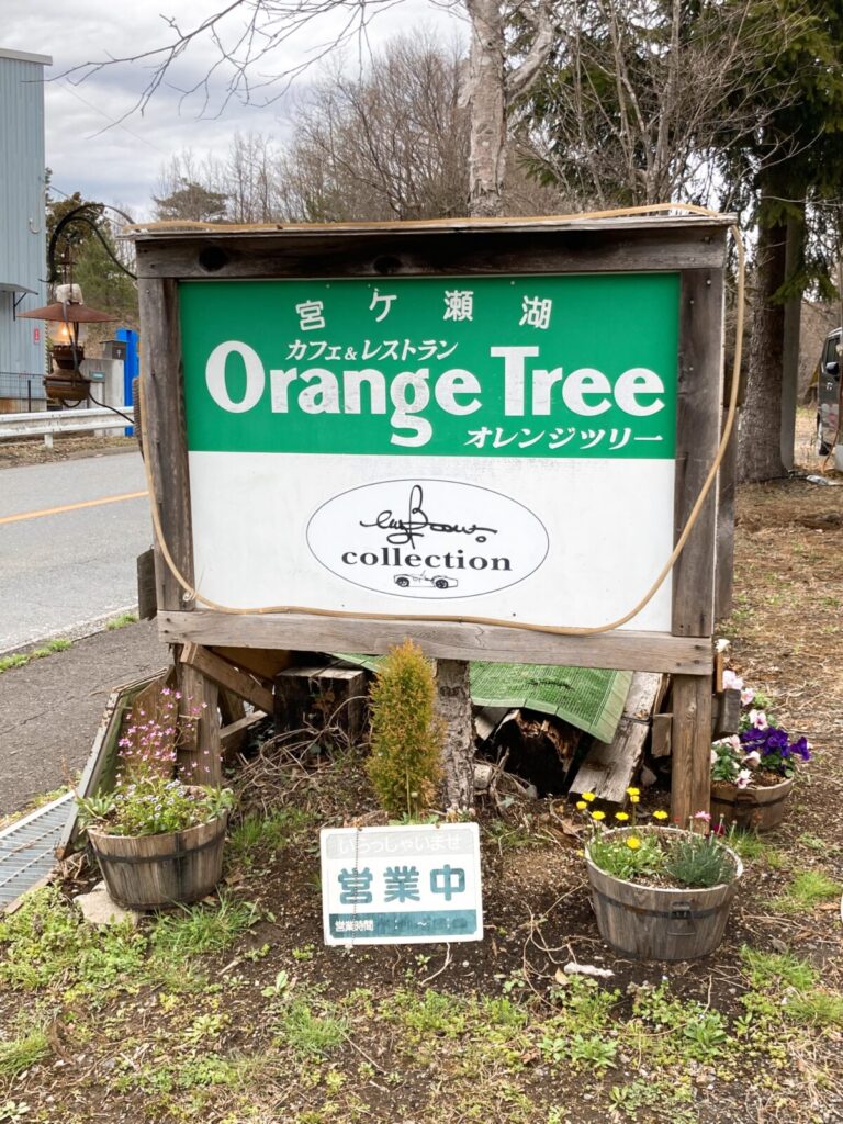 オレンジツリー