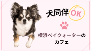 【犬同伴OK】横浜ベイクォーターのカフェまとめ