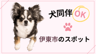 【犬同伴OK】伊東市のスポットまとめ