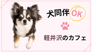 【犬同伴OK】軽井沢のカフェ4選
