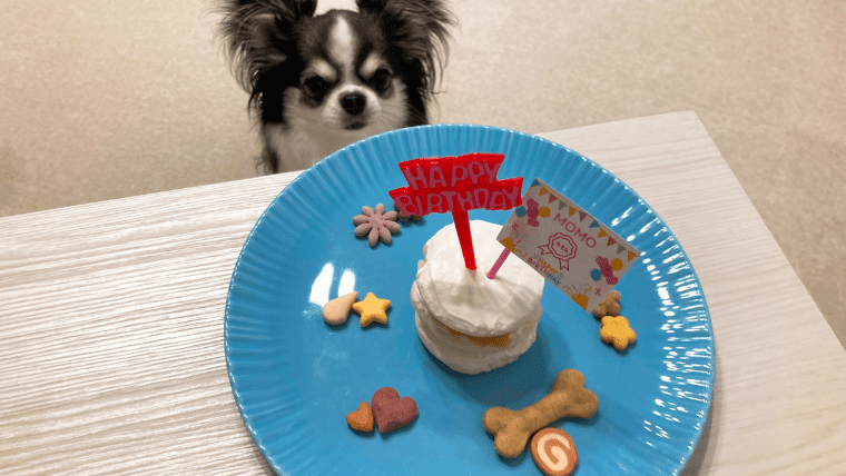 犬 誕生日 レシピ