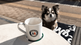 【テラス席犬OK】新横浜「モリバコーヒー」に行ってきました