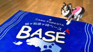 【犬同伴OK】城ヶ島 遊ヶ崎BASEに宿泊しました