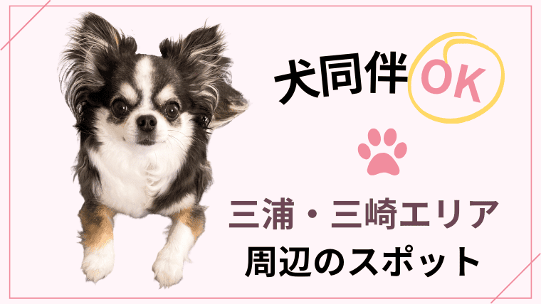 【犬同伴OK】三浦・三崎エリア周辺のスポットまとめ
