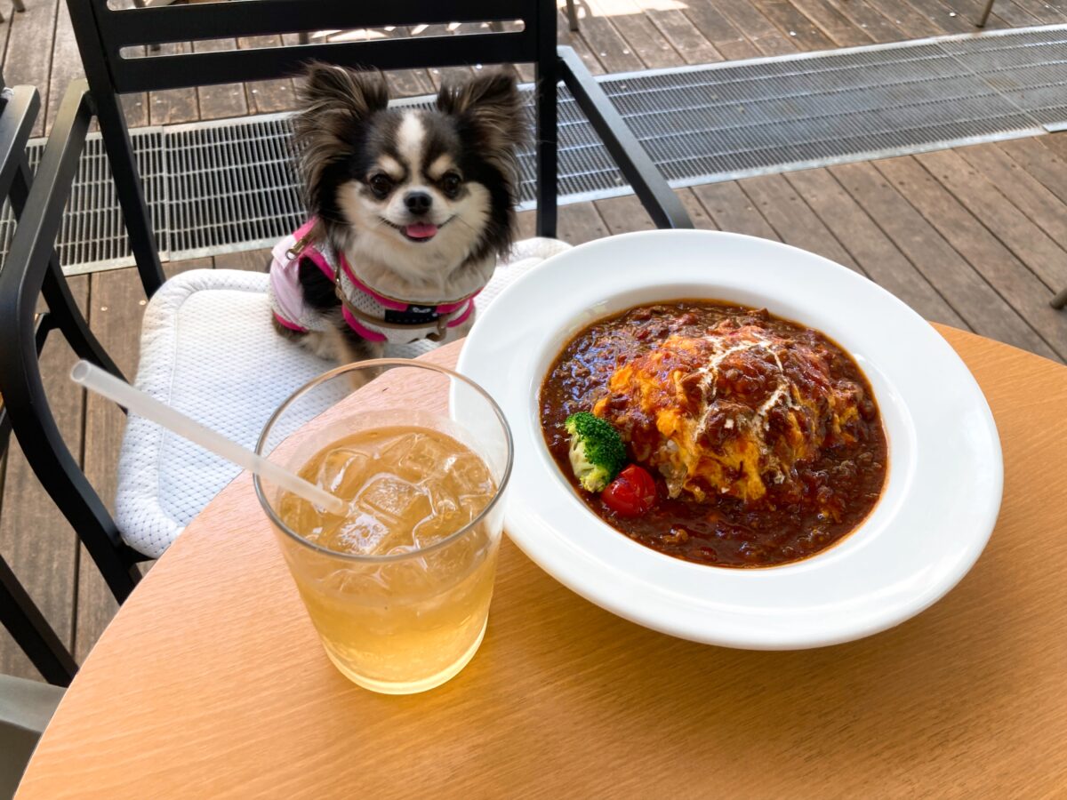 エブリワンズカフェ