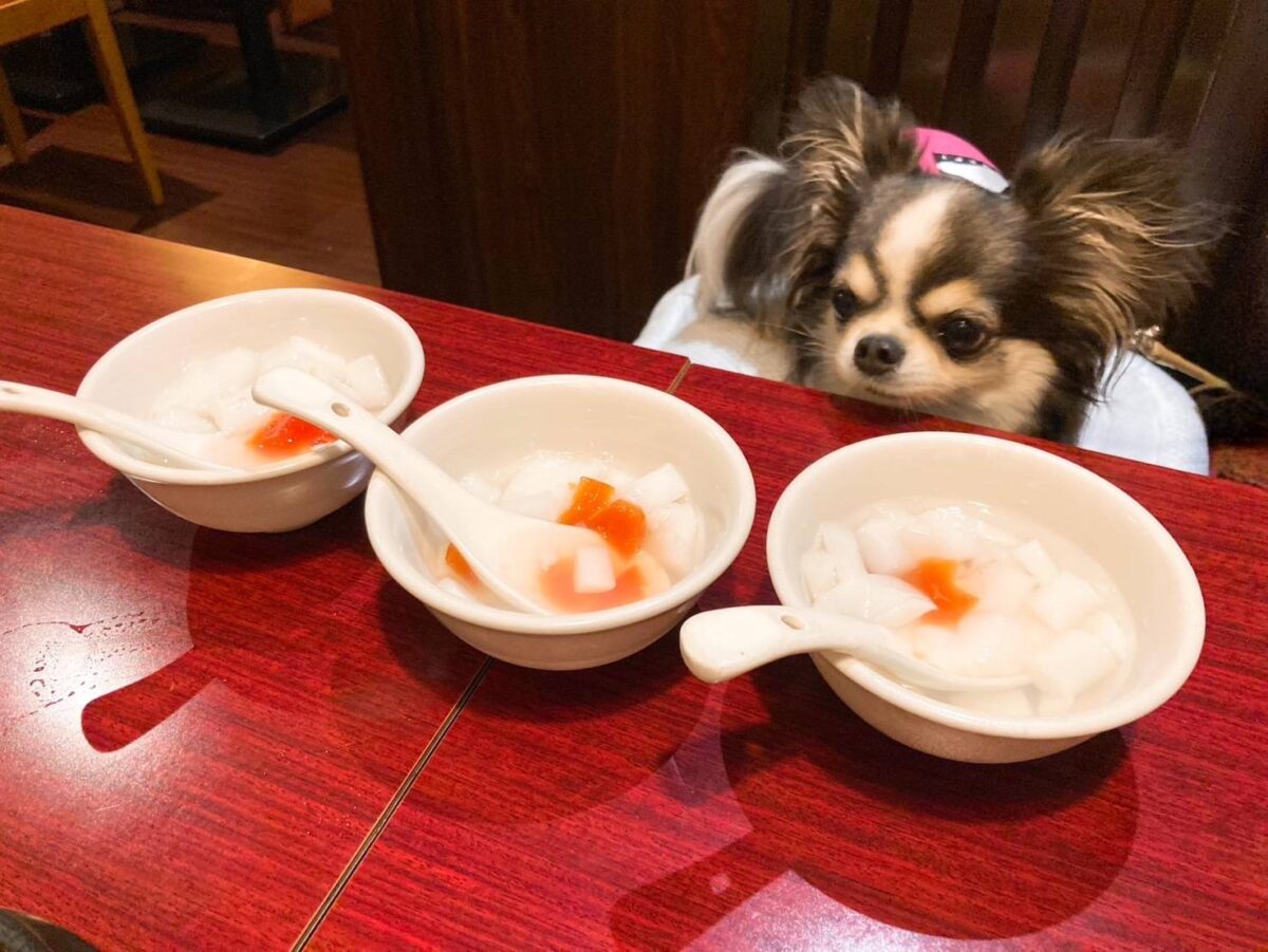 中国料理 東海園