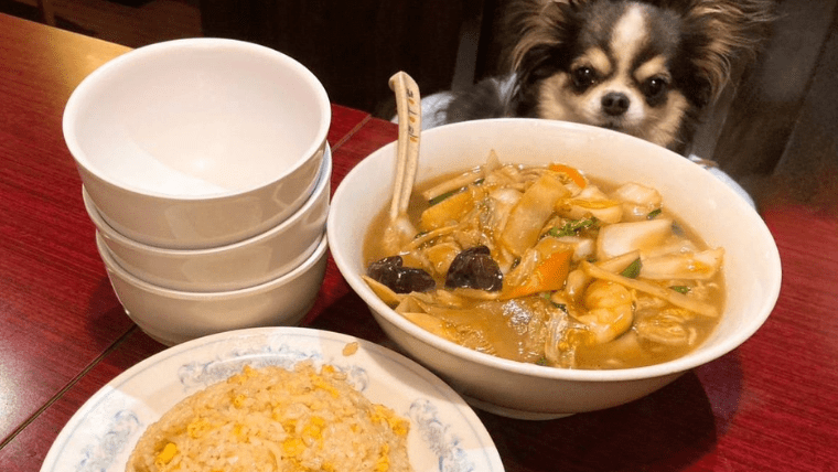 【店内犬OK】浜松町「中国料理 東海園」に行ってきました