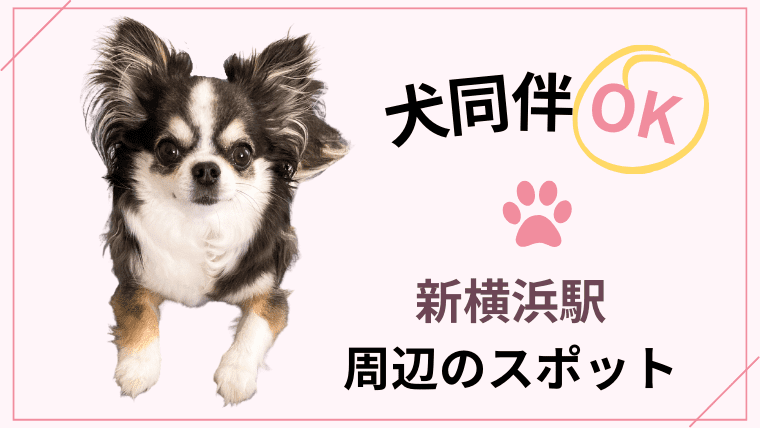 【犬同伴OK】新横浜駅周辺のスポットまとめ