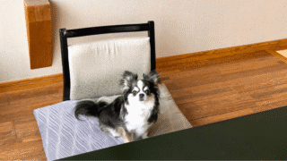 【犬同伴OK】ホテル花いさわに宿泊しました