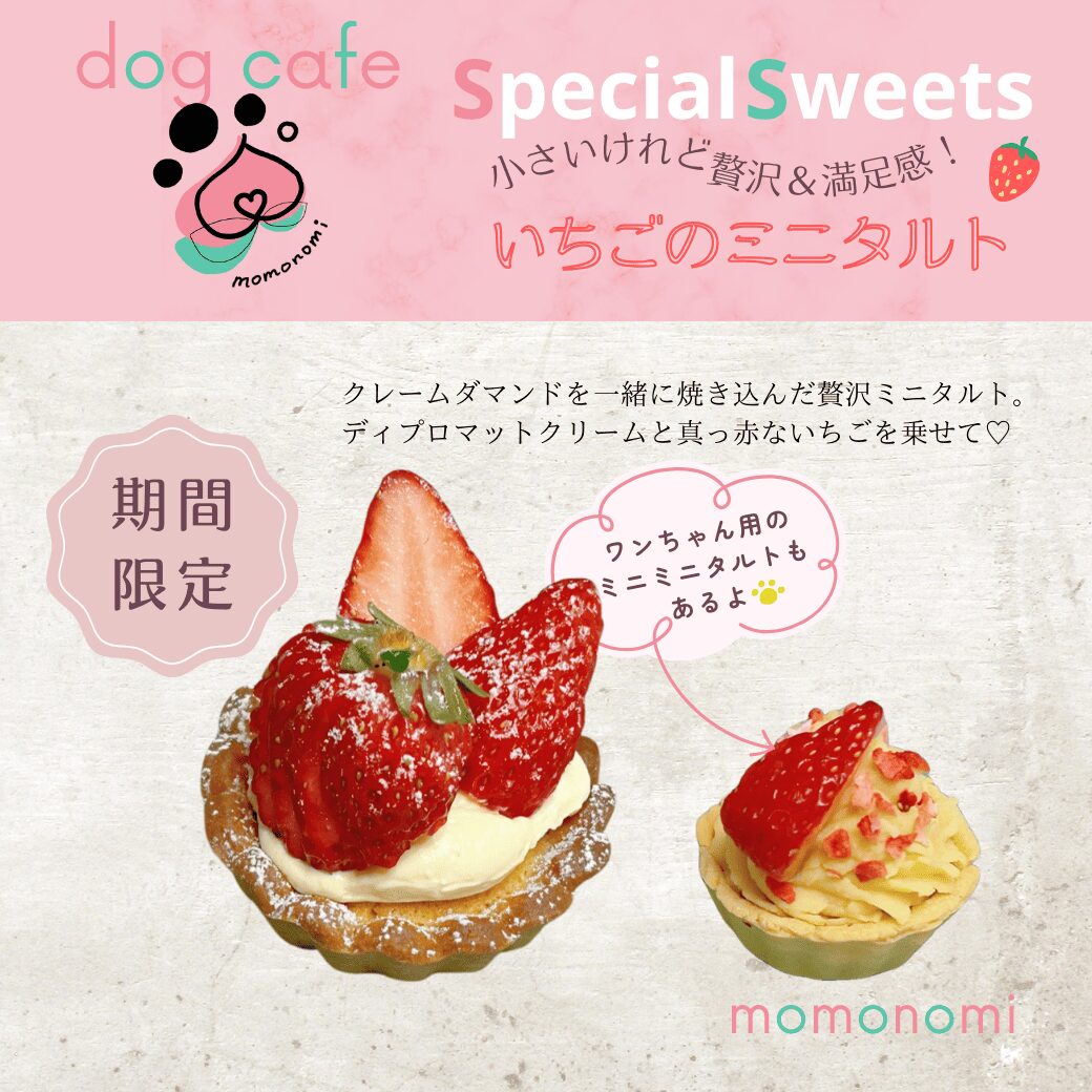 ドッグカフェ momonomi