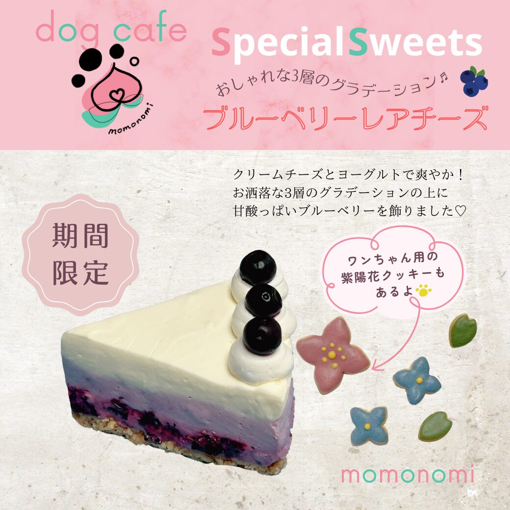 ドッグカフェ momonomi