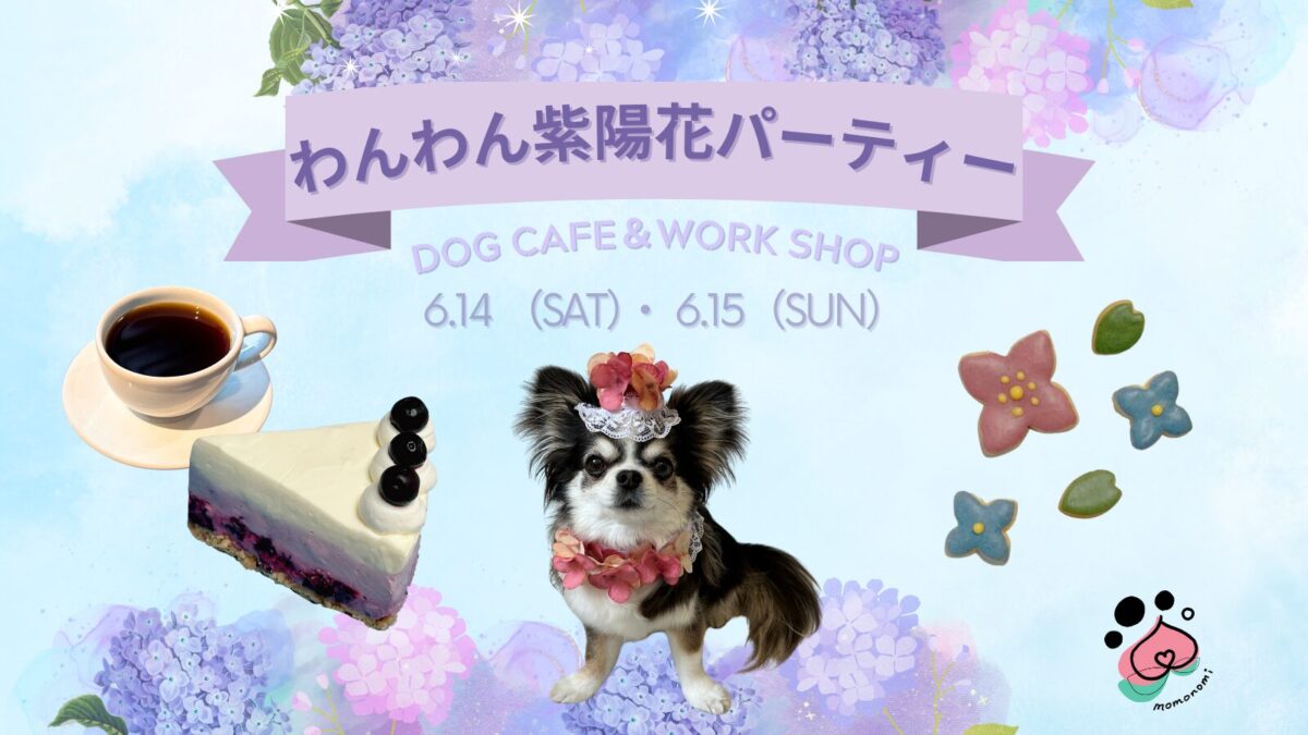 momonomi 紫陽花パーティー