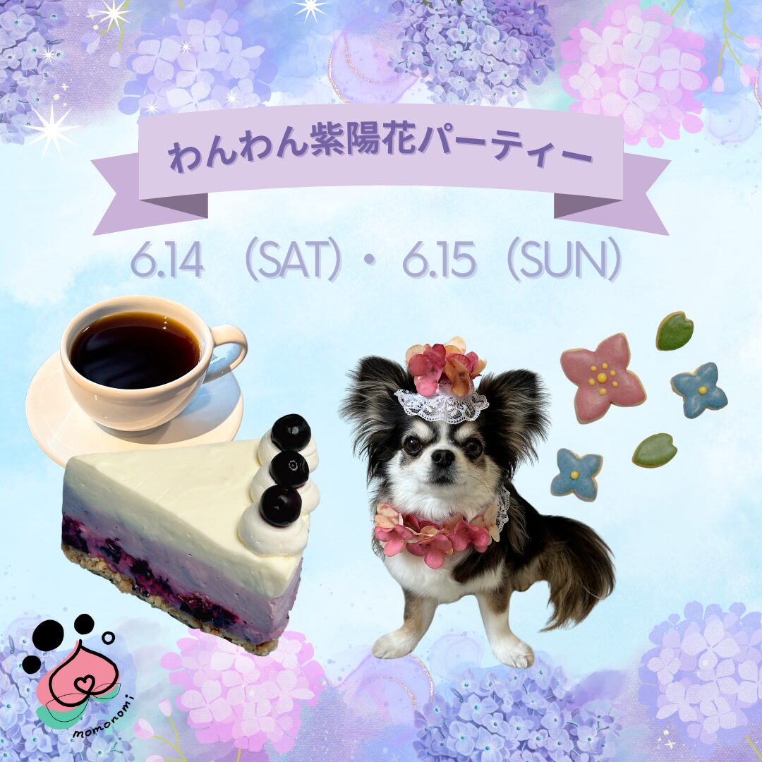 momonomi 紫陽花パーティー