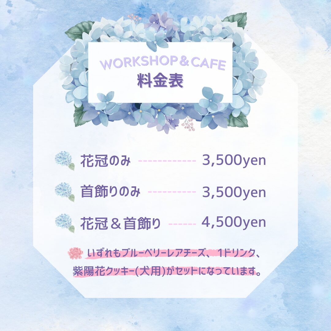 momonomi 紫陽花パーティー