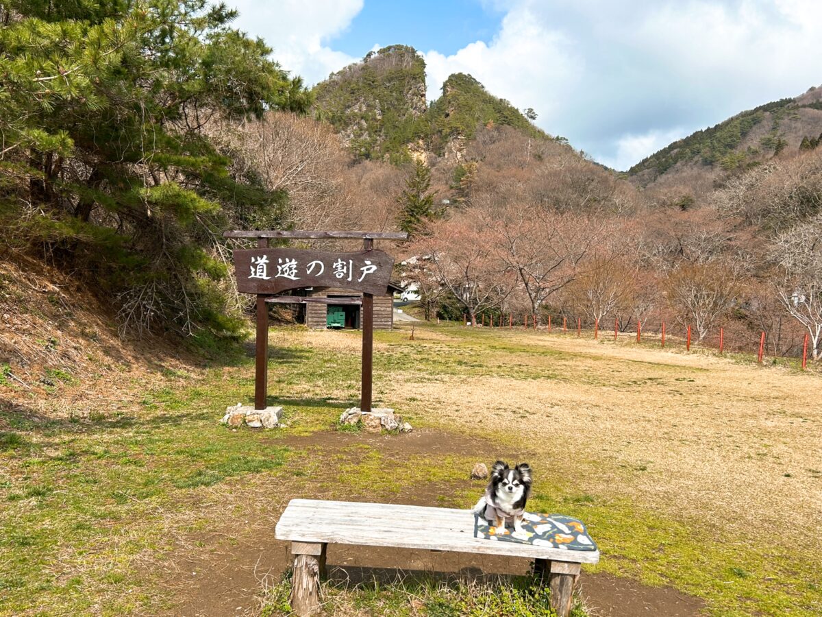佐渡島 金山