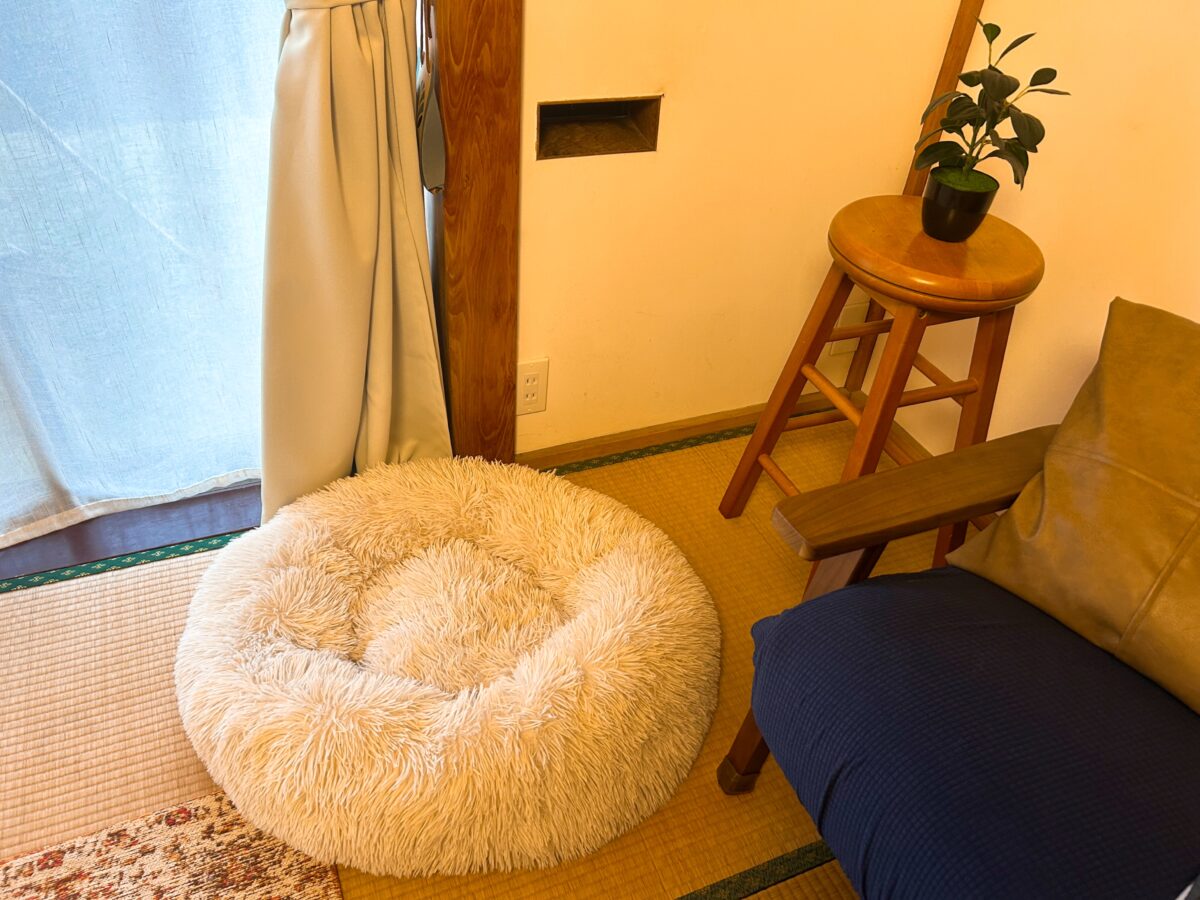 さかさまドッグリゾート