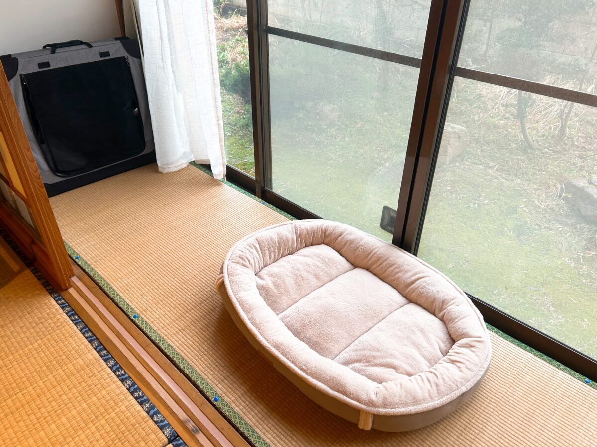 さかさまドッグリゾート