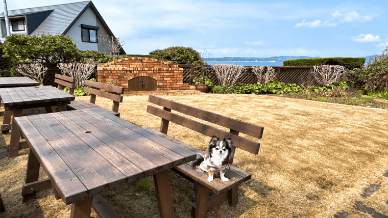 しまふうみ 佐渡島