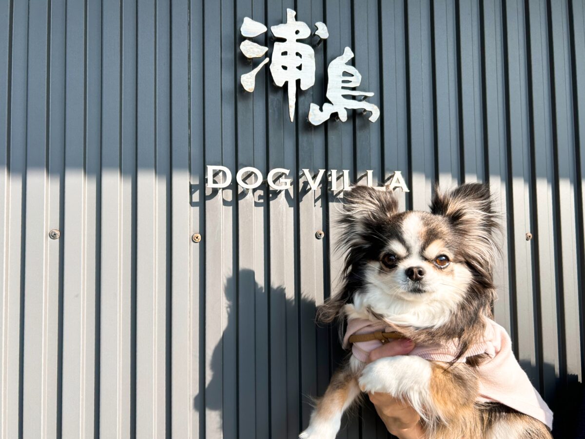 浦島ドッグヴィラ