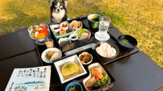 【犬同伴OK】浦島Dog Villaに宿泊しました
