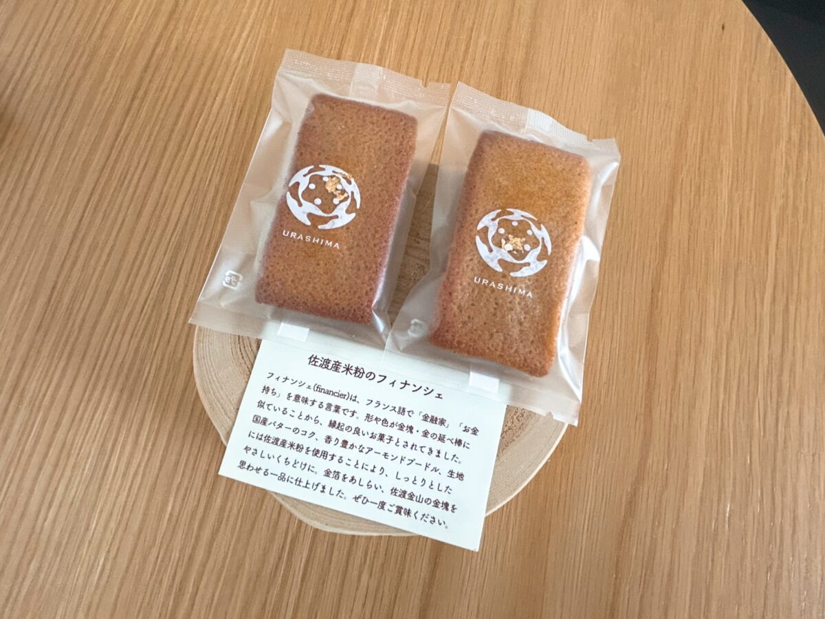 浦島ドッグヴィラ