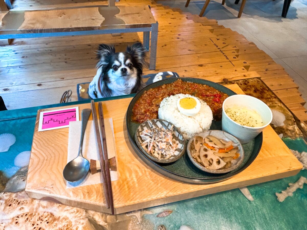 アクトリーカフェ
