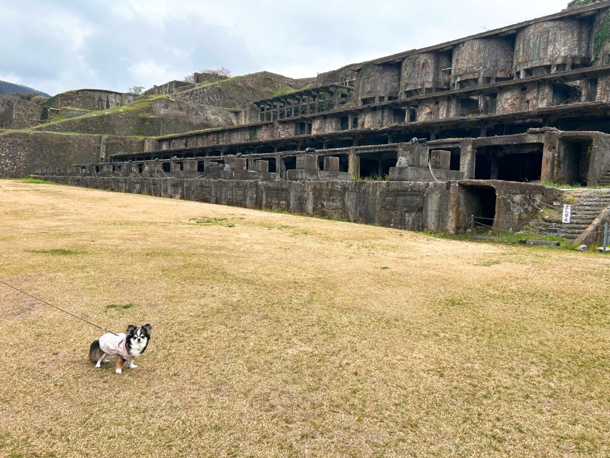 北沢浮遊選鉱場跡