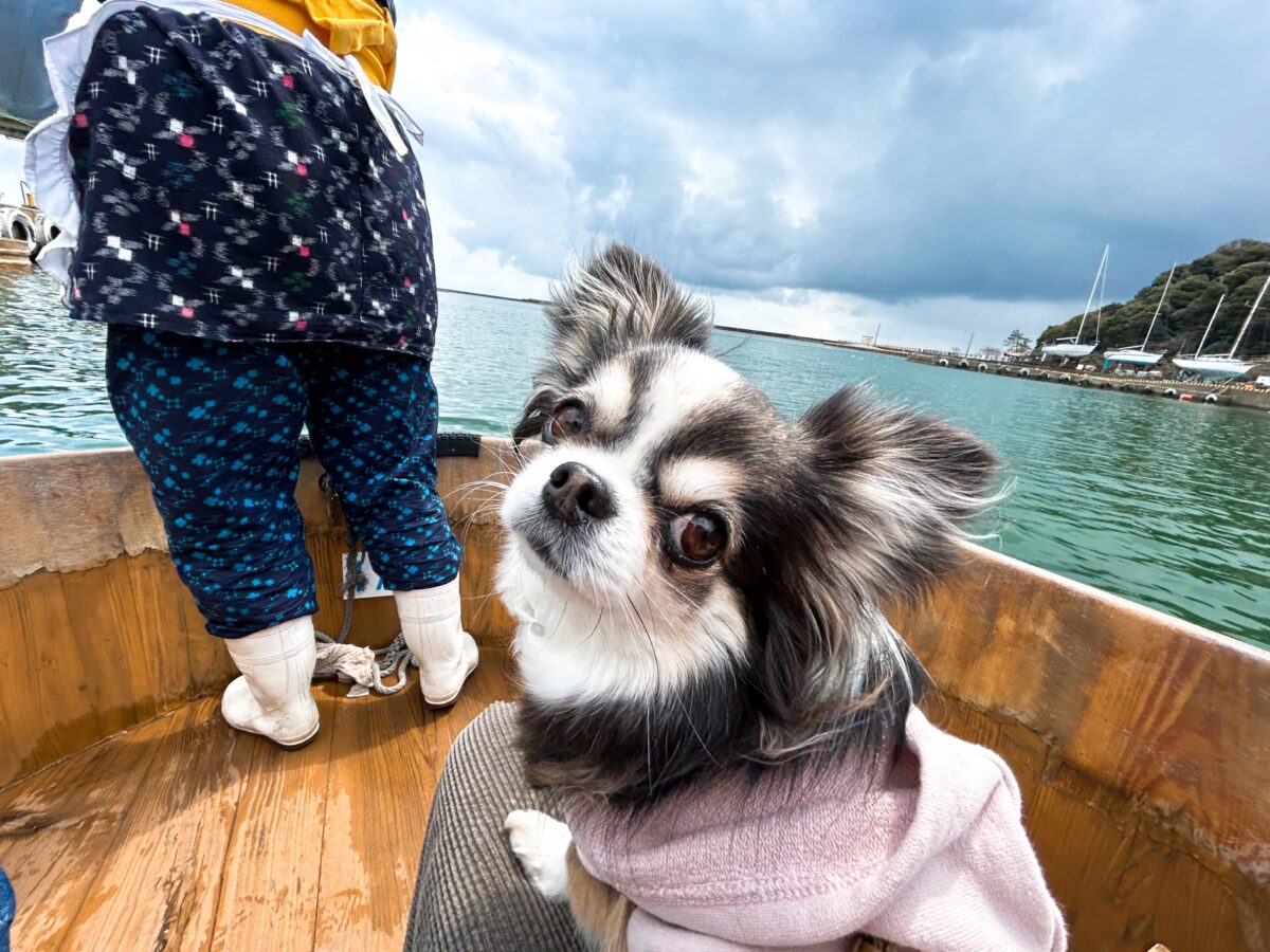 佐渡島 たらい舟