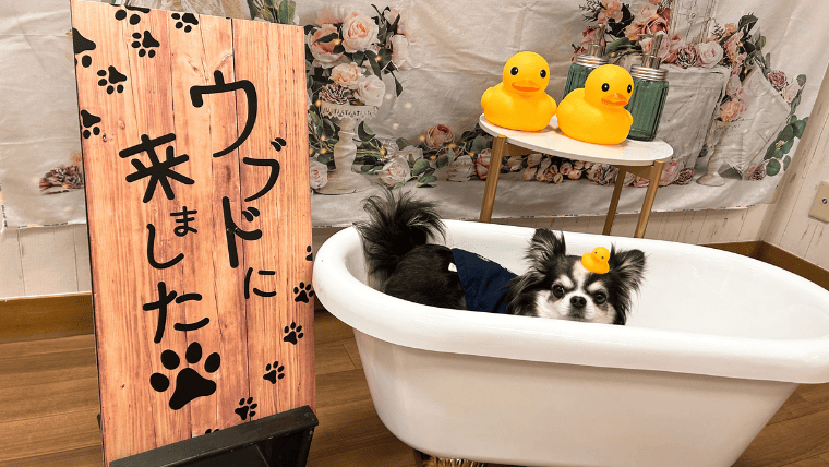 ウブドの森