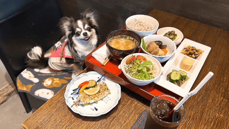 蔵オビハチ