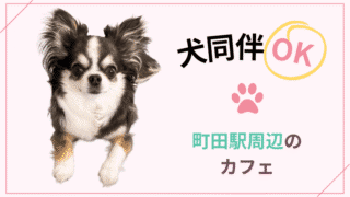 【犬同伴OK】町田駅周辺のカフェまとめ