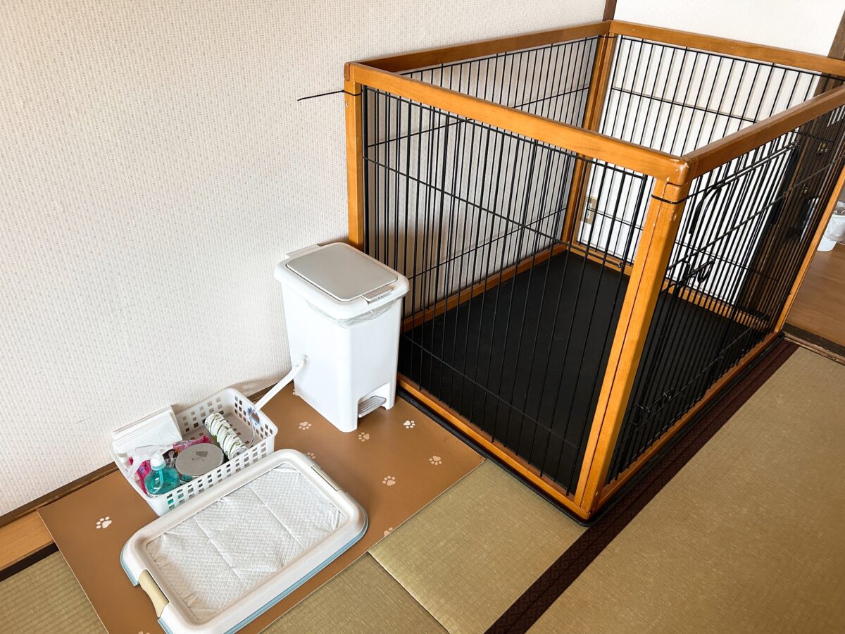 蔵王温泉 善七乃湯