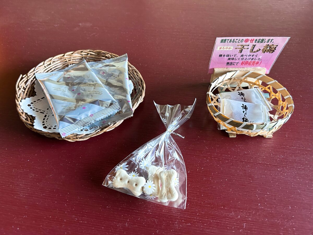 蔵王温泉 善七乃湯