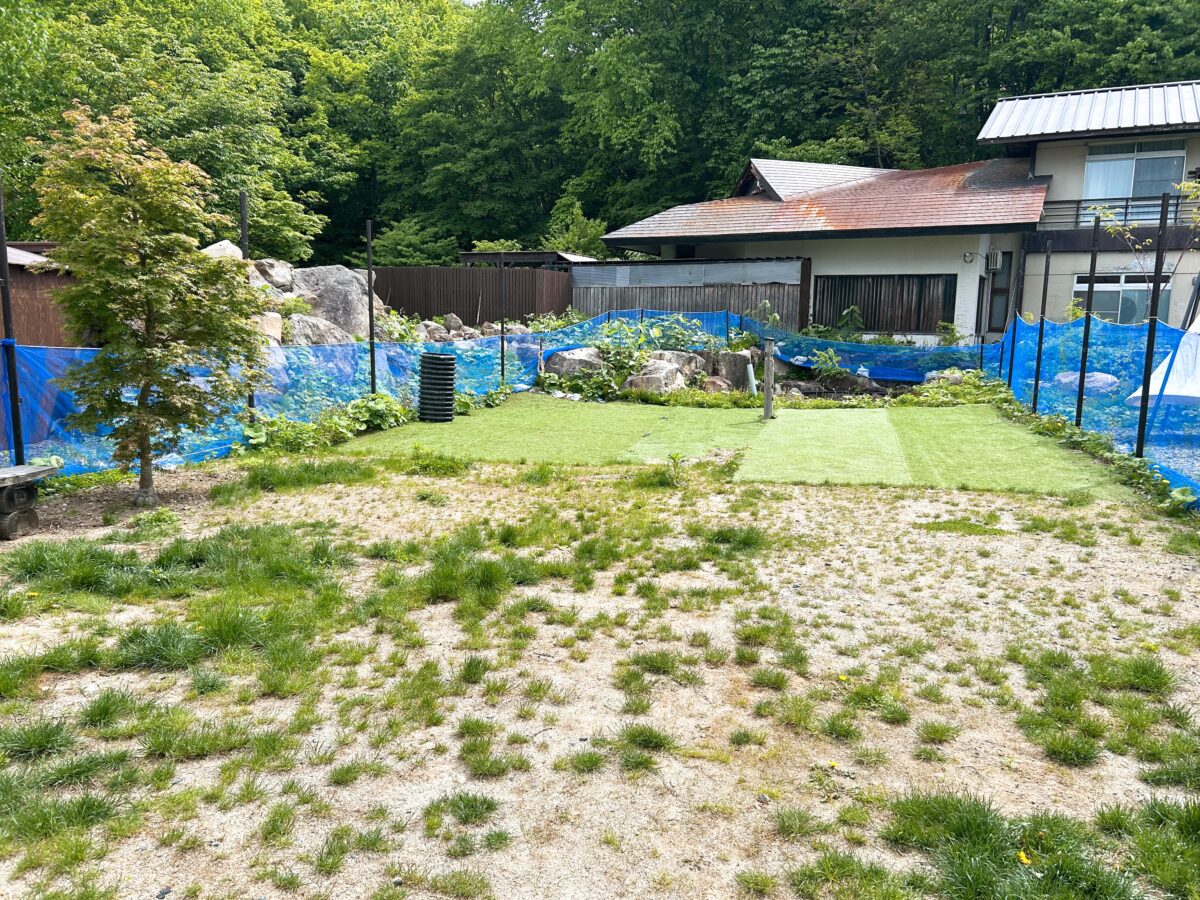 蔵王温泉 善七乃湯