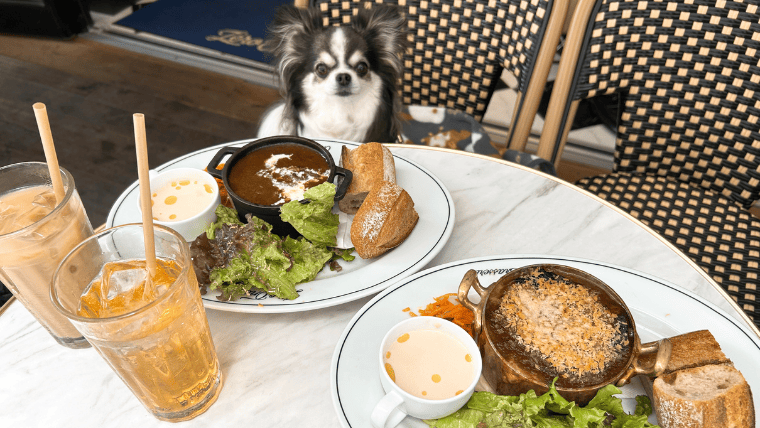 ゼロワンカフェ＆ブラッスリー