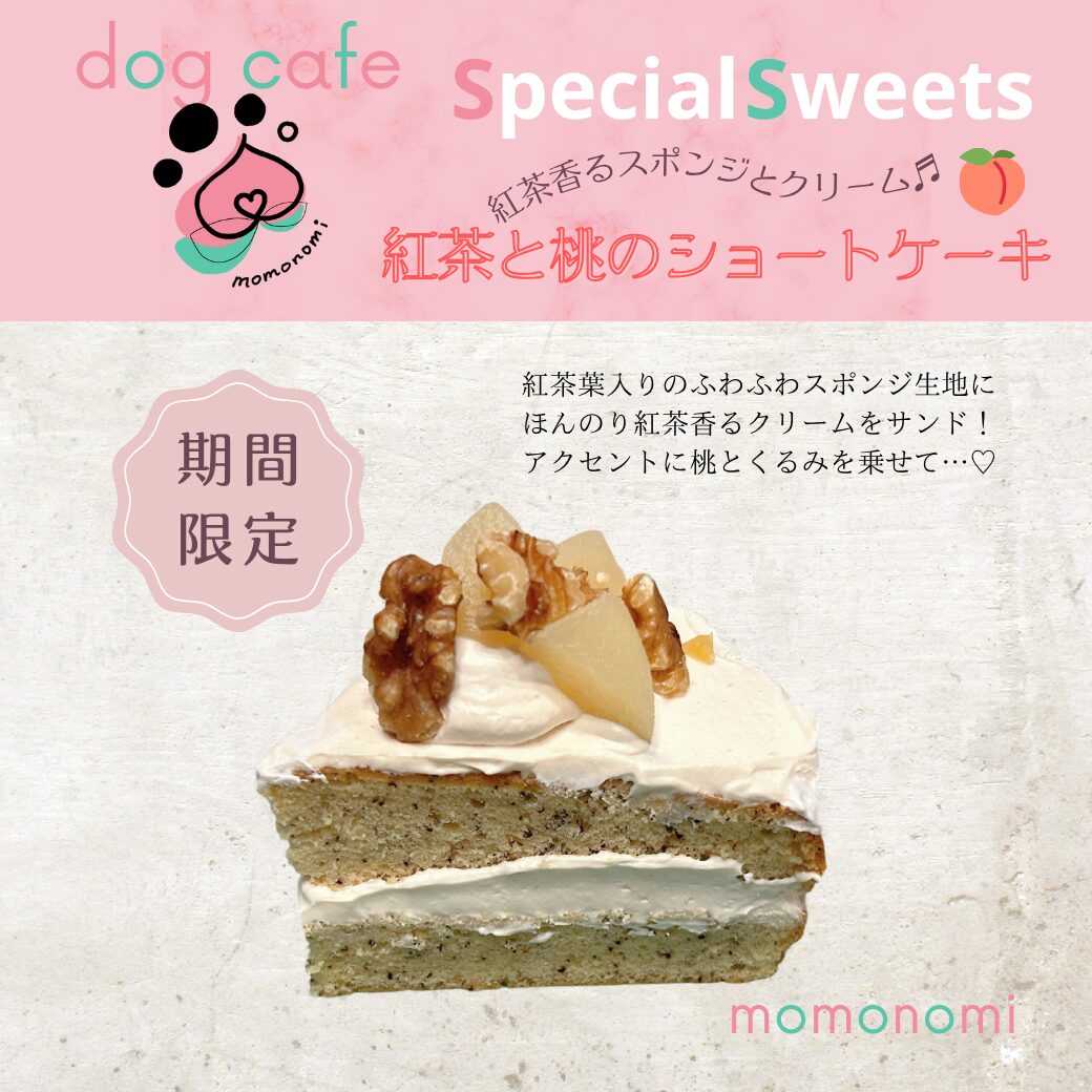 ドッグカフェ momonomi