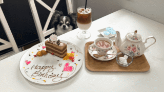 【店内犬OK】伊東「cake＆cafe soiree」に行ってきました