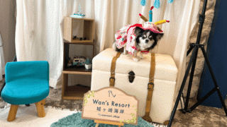 【犬同宿OK】「Wan’s Resort 城ヶ崎海岸」に宿泊しました