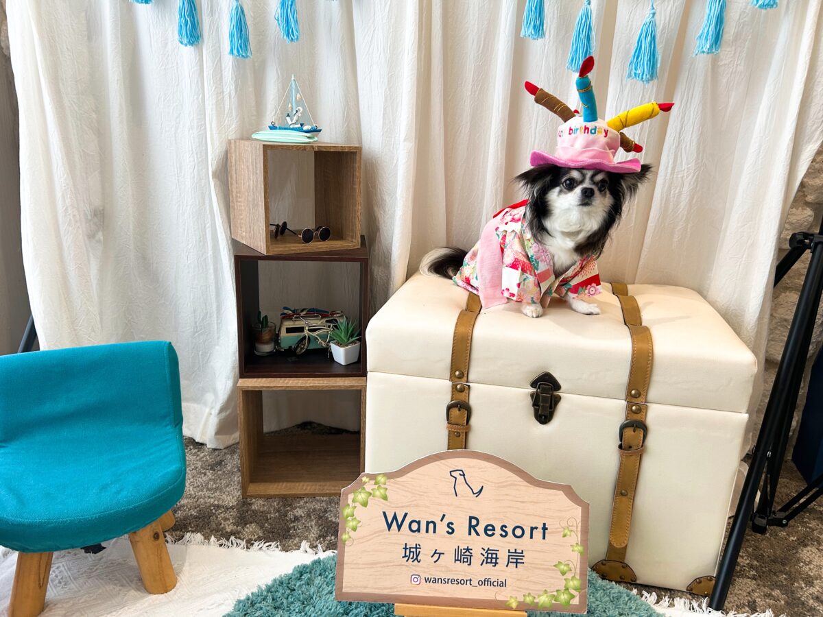 ワンズリゾート 城ヶ崎海岸
