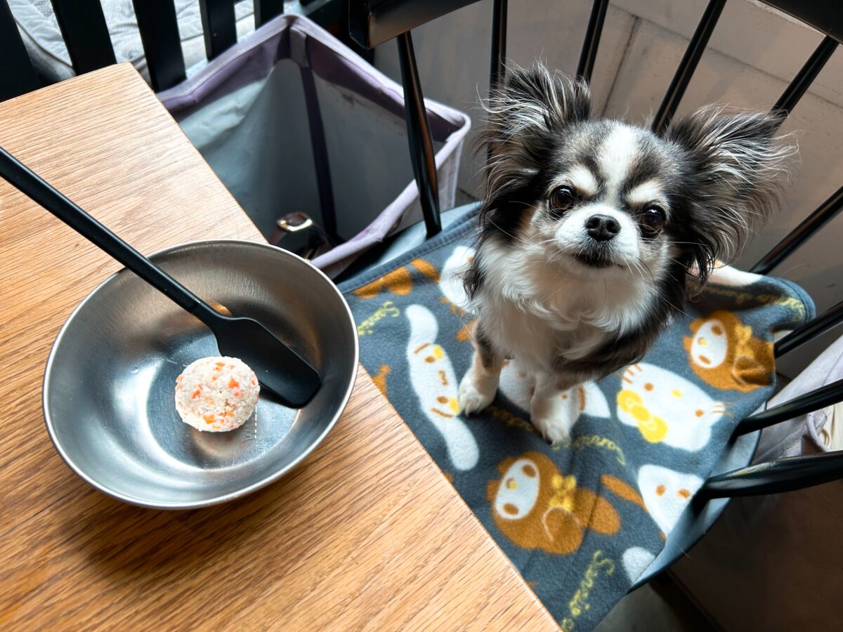 アネアカフェ 白金店