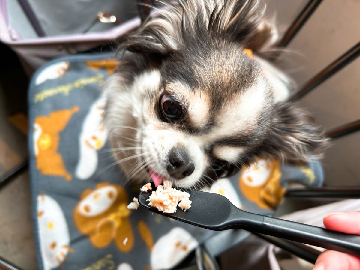 アネアカフェ 白金店