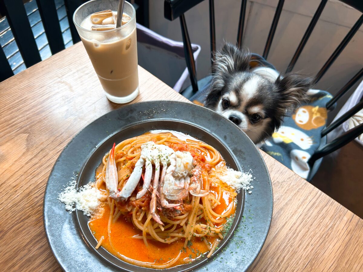 アネアカフェ 白金店