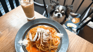 【店内犬OK】白金高輪「anea cafe 白金店」に行ってきました