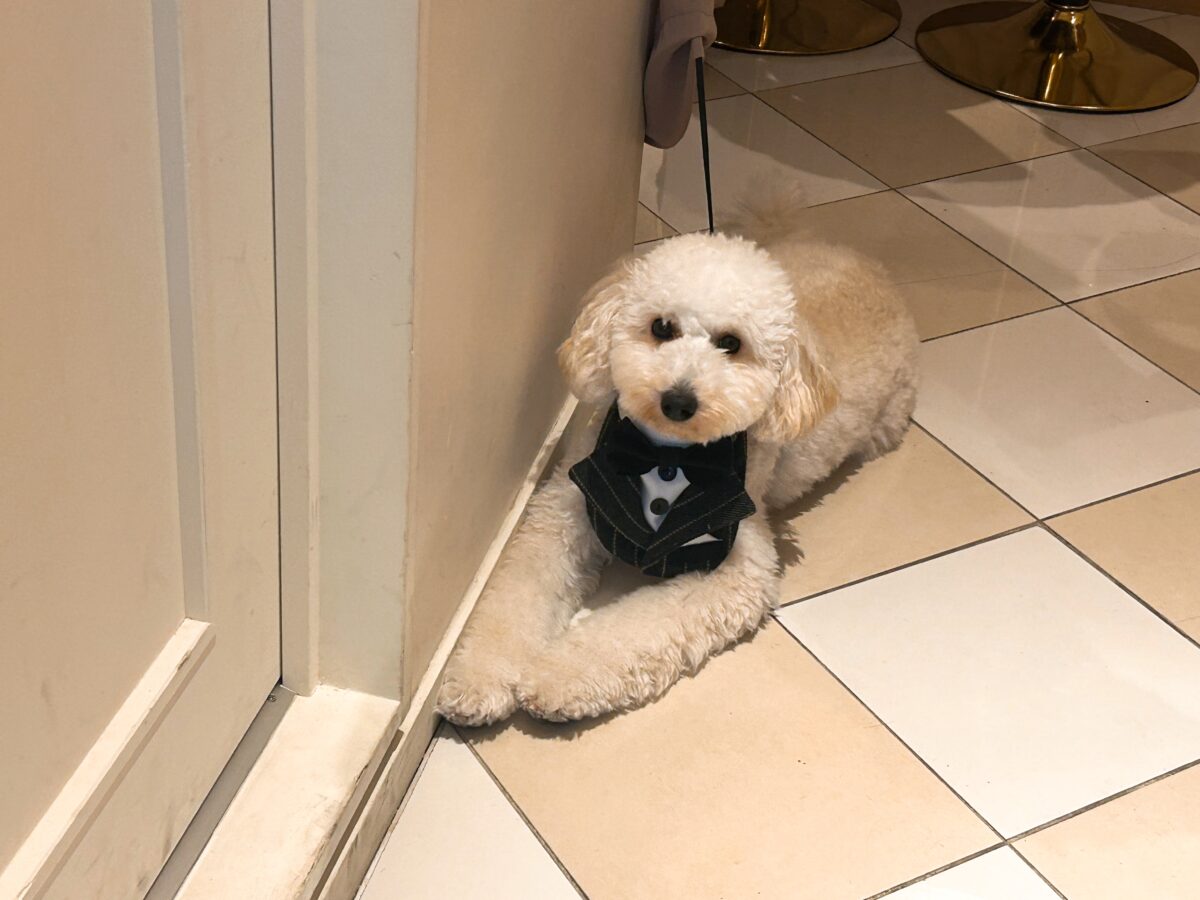 サロン・ド・ミュー