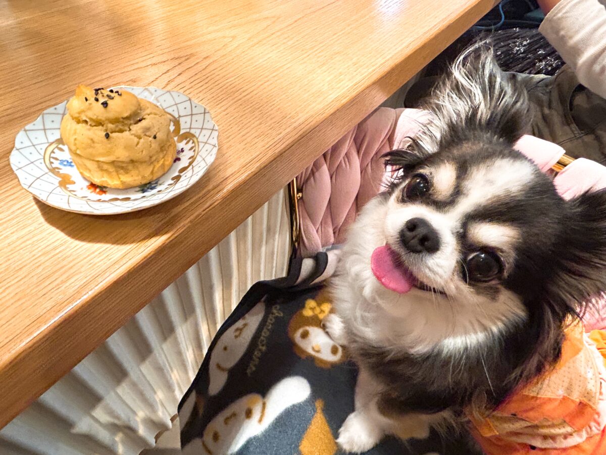 サロン・ド・ミュー