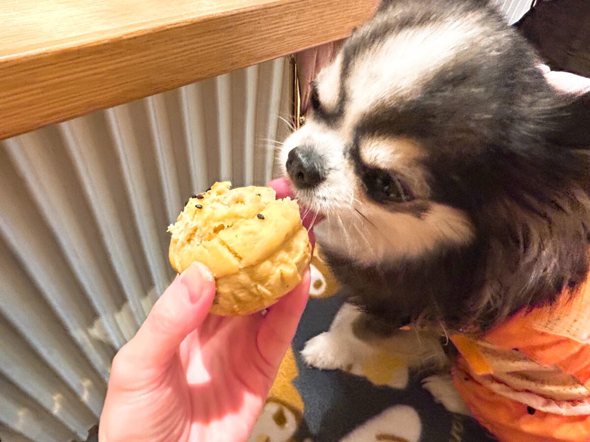 サロン・ド・ミュー