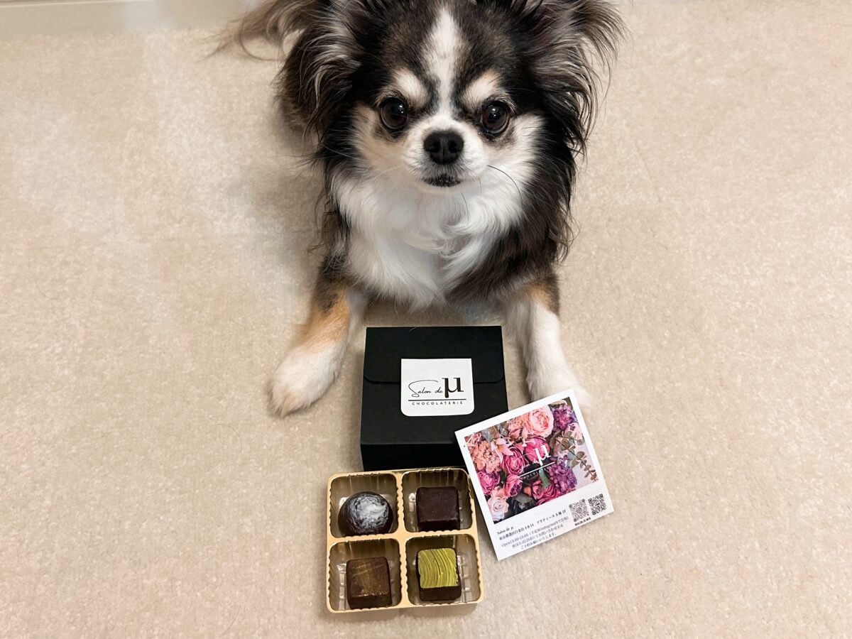 サロン・ド・ミュー